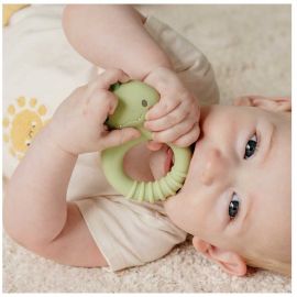 Βρεφικό Παιχνίδι Οδοντοφυΐας Silicone Teether Dino Tiger Tribe | Παιχνίδια Bebe στο MarkCenter