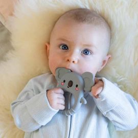Βρεφικό Παιχνίδι Οδοντοφυΐας Silicone Teether Koala Tiger Tribe | Παιχνίδια Bebe στο MarkCenter
