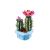 Lego Botanical Flowering Cactus 11509 Lego | Lego στο MarkCenter