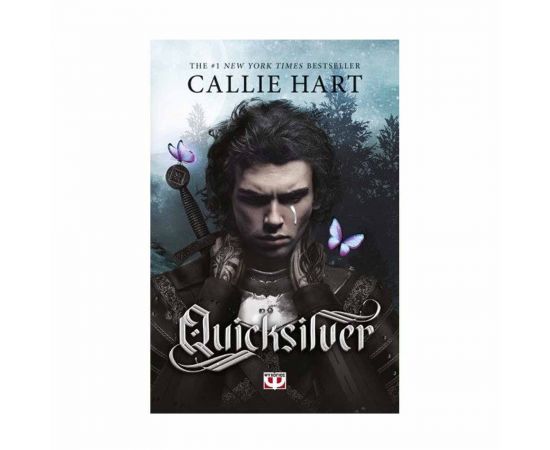 Quicksilver Εκδόσεις Ψυχογιός | Βιβλία στο MarkCenter