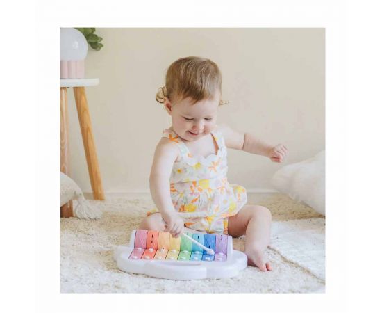 Βρεφικό Παιχνίδι Μουσικό Ξυλόφωνο Rainbow Roller Tiger Tribe | Παιχνίδια Bebe στο MarkCenter