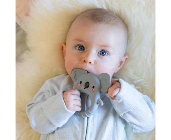 Βρεφικό Παιχνίδι Οδοντοφυΐας Silicone Teether Koala Tiger Tribe | Παιχνίδια Bebe στο MarkCenter