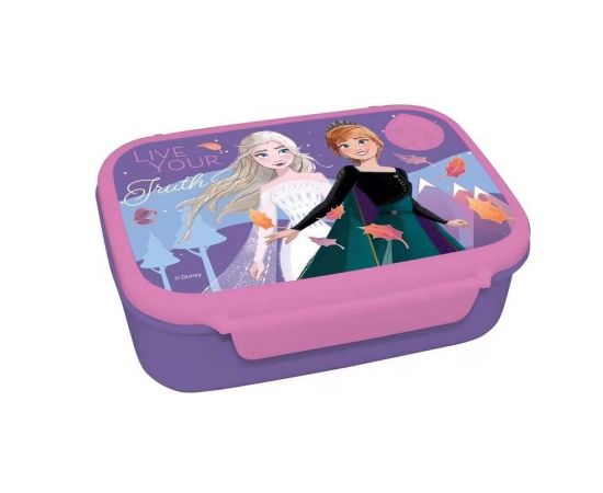 Σετ Δοχείο Φαγητού Και Παγούρι Ανοξείδωτο Frozen Διακάκης | Παγουράκια - Δοχεία Φαγητού στο MarkCenter