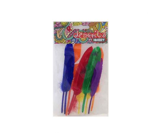 Φτερά Describo 6 Ασορτί Χρώματα 10 Τεμάχια Μέγεθος 10-20cm Describo | Είδη Χειροτεχνίας στο MarkCenter