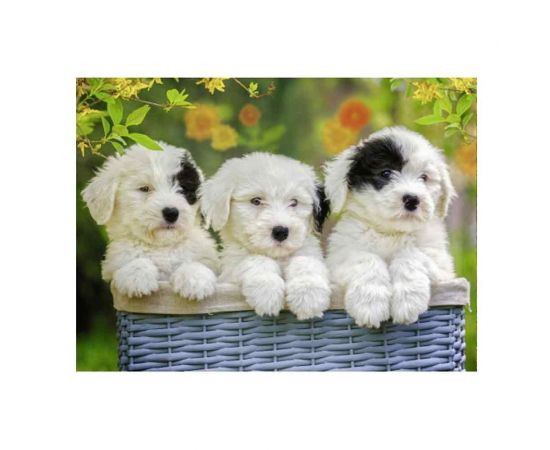 Παζλ 200XXL Κομμάτια Ravensburger Κουτάβια Ravensburger | Πάζλ στο MarkCenter