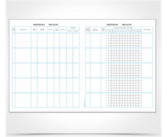Βιβλίο Μητρώου Μελών 544Α 25X35Cm 100 Φύλλα Typotrust | Λογιστικά Έντυπα στο MarkCenter