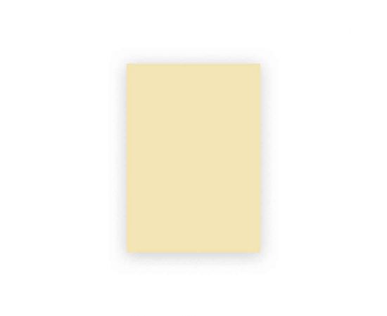 Χαρτόνια κολάζ 21x29,7 (A4) 220gr Κρεμ ανοιχτό  | Είδη Χειροτεχνίας στο MarkCenter