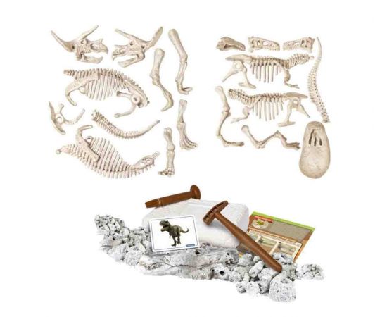 T-Rex και Τρικεράτωψ Επαυξημένη Πραγματικότητα  Μαθαίνω & Δημιουργώ 1026-63403 AS Company | Παιχνίδια για Αγόρια στο MarkCenter