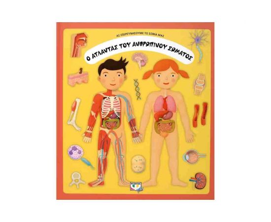 Ο Άτλαντας Του Ανθρώπινου Σώματος Εκδόσεις Ψυχογιός | Βιβλία Παιδικά στο MarkCenter