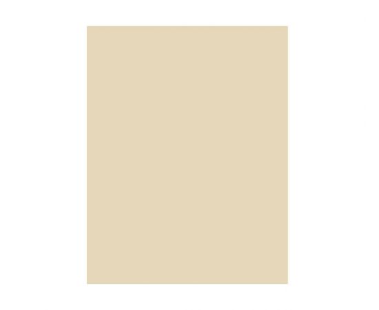 Χαρτόνια κολάζ 50X70 220gr 5202 Κρεμ ανοιχτό  | Είδη Χειροτεχνίας στο MarkCenter