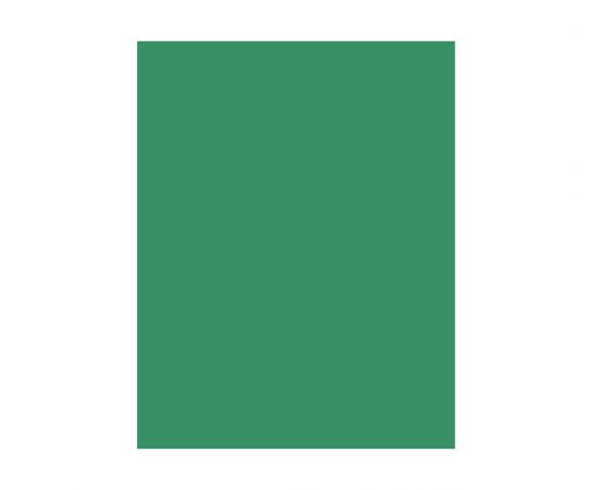 Χαρτόνια κολάζ 50X70 220gr 5211 Πράσινο  | Είδη Χειροτεχνίας στο MarkCenter