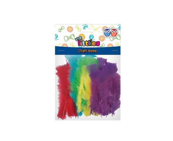 Φτερά Χειροτεχνίας The Littlies Μεγάλα Διάφορα Χρώματα 30τμχ Διακάκης | Είδη Χειροτεχνίας στο MarkCenter