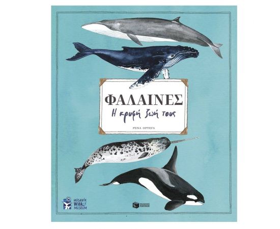 Φάλαινες. Η κρυφή ζωή τους Εκδόσεις Πατάκη | Βιβλία Παιδικά στο MarkCenter