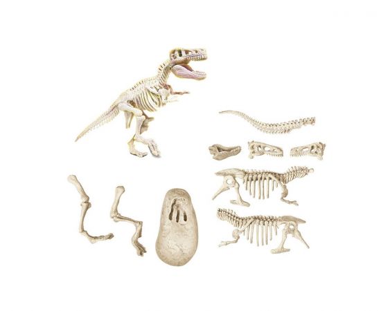 Μαθαίνω Και Δημιουργώ Lab Δεινόσαυροι Τυραννόσαυρος Clementoni | Παιχνίδια Unisex στο MarkCenter